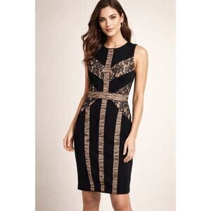 BCBGMAXAZRIA Raina Lace Panel Sheath Dress Black Nude Sleeveless Bodycon Small